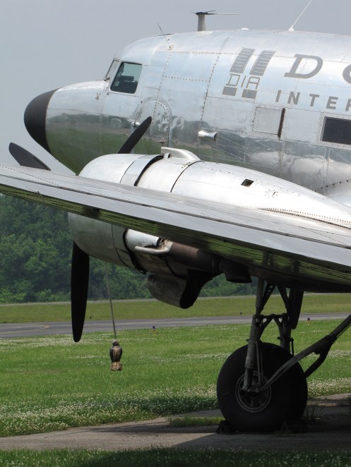 N4550J at Knoxville, 2010. Note the suspended owl figurine, intended to keep birds away from the engines. 